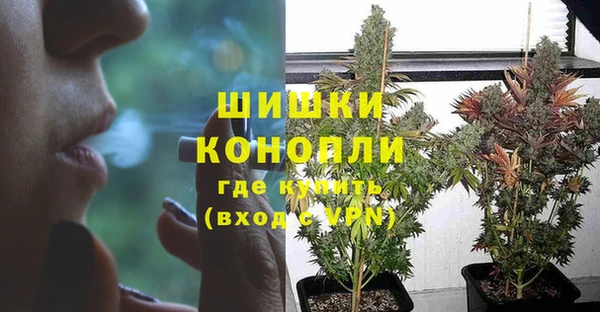 герыч Новодвинск