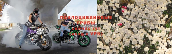 герыч Новодвинск