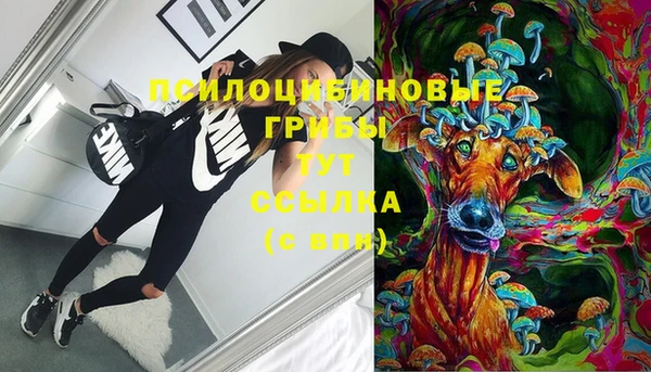 амфетамин Новозыбков