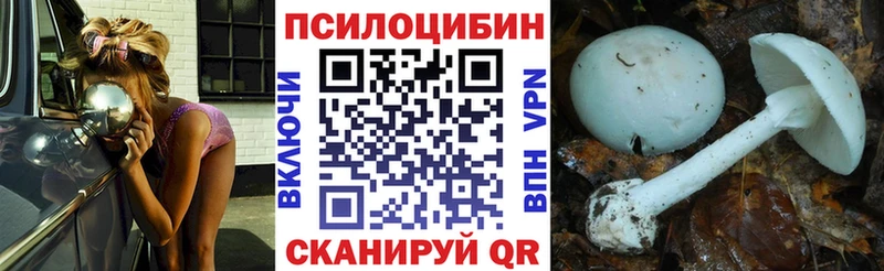 Галлюциногенные грибы прущие грибы kraken маркетплейс shop формула Избербаш