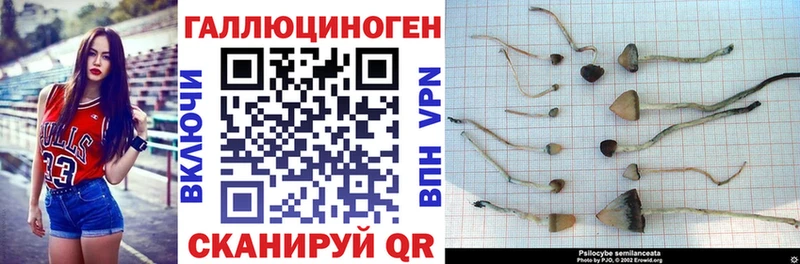 Галлюциногенные грибы GOLDEN TEACHER Избербаш